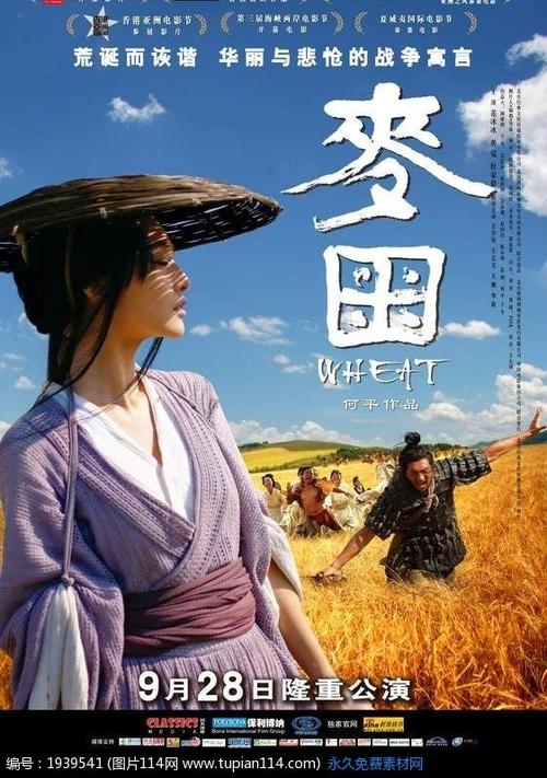 柏林斯泰因拜斯大学证书